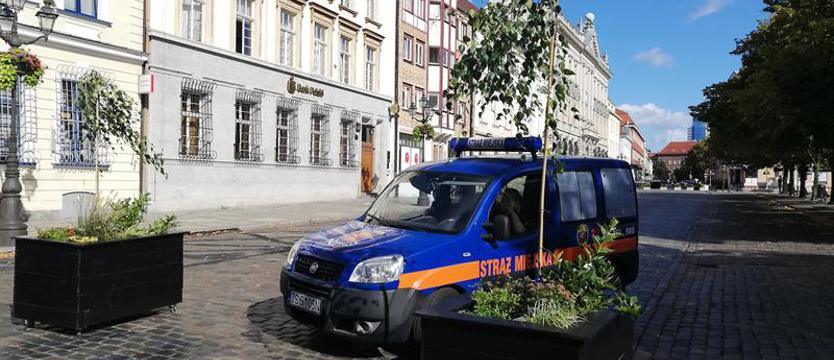 Zero parkowania na pl. Orła Białego