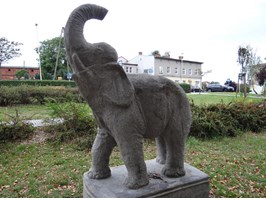 Słoń a budżet miasta