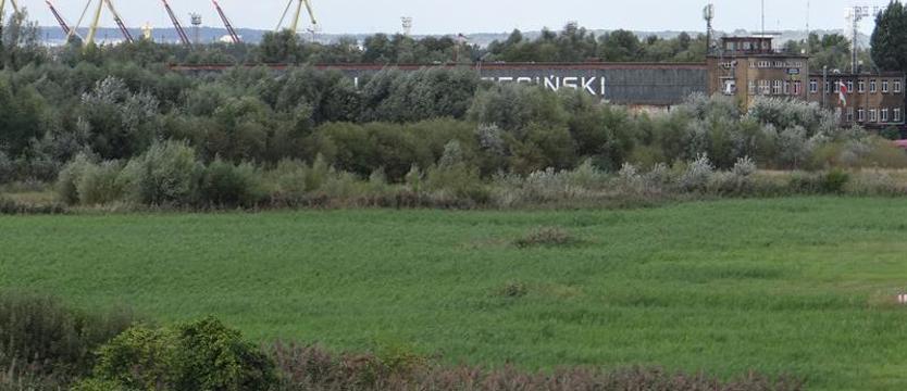 Park (centralnie) odłożony w czasie