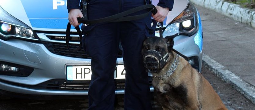 Psi nos doprowadził policjantów do włamywacza