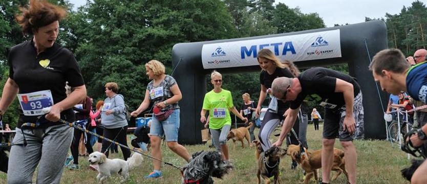 Na ostatniej prostej. Potrzebny nowy TOZ-obus