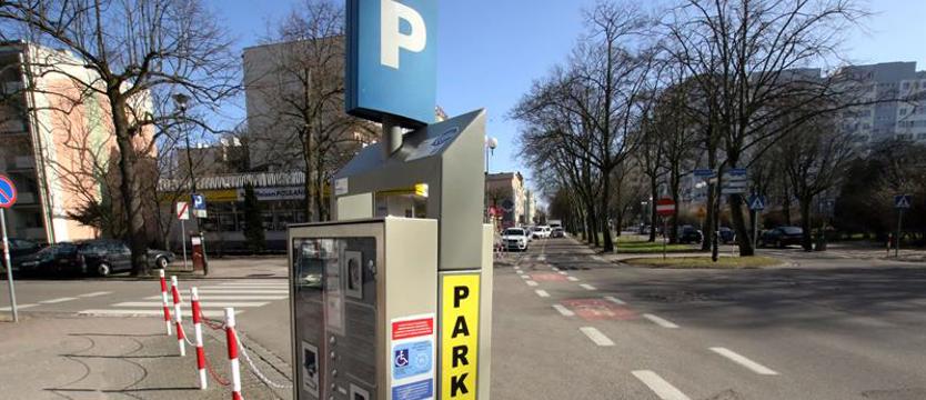Bez opłat w strefach płatnego parkowania. Obcokrajowcy są bezkarni