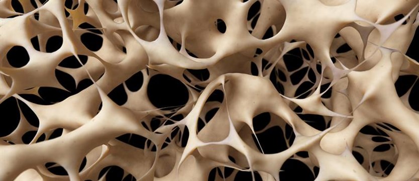 W szczecińskim NFZ o osteoporozie