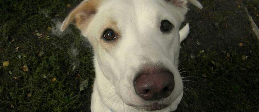 Skraj smutku zwany Bianką