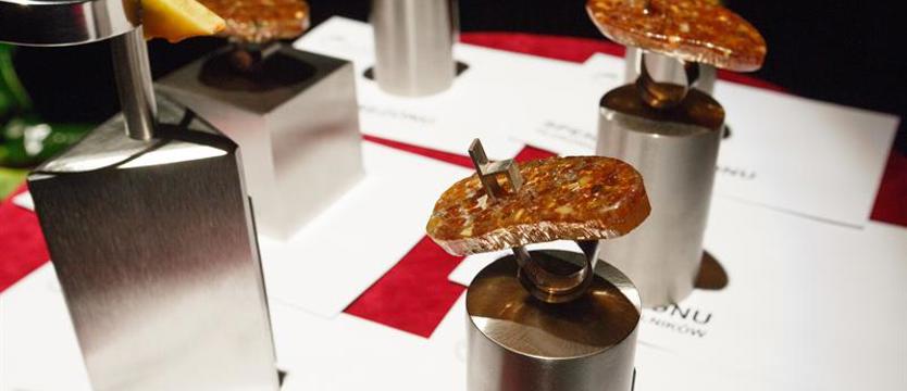 Oto finaliści plebiscytu Bursztynowy Pierścień!