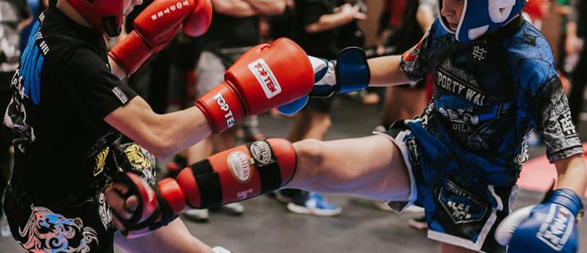 Sporty walki. Fighterzy w hali SDS