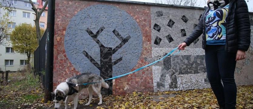 Nowa mozaika ozdabia szczecińskie podwórko