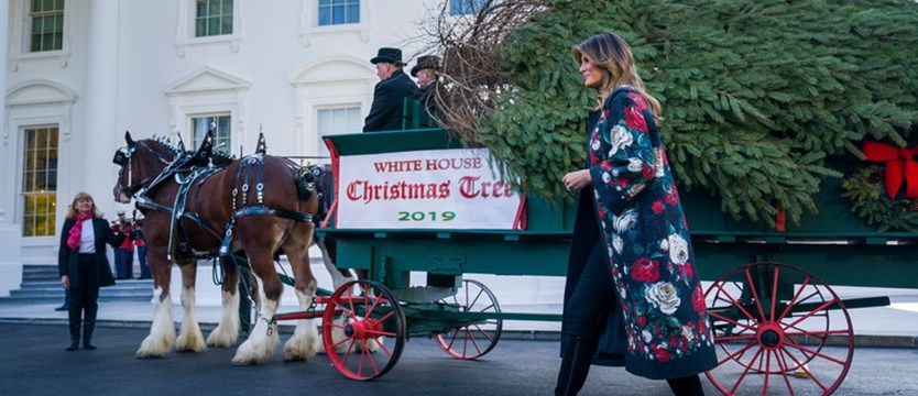 Do Białego Domu dostarczono już choinkę na Boże Narodzenie