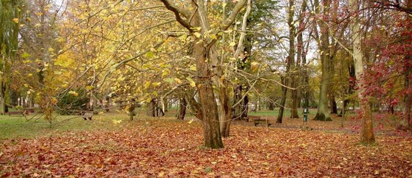 Blisko 5-milionowe wsparcie na rewitalizację miejskich przestrzeni w Koszalinie