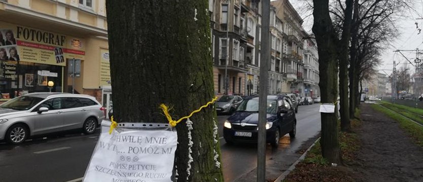 Alert w obronie zieleni. Protest na pl. Szarych Szeregów w Szczecinie