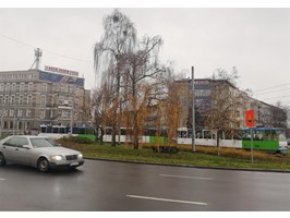 Alert w obronie zieleni. Protest na pl. Szarych Szeregów w Szczecinie