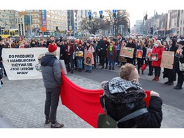 Młodzi protestowali na placu Adamowicza, bo Australia płonie