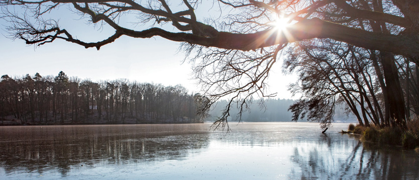 Walentynki w Brandenburgii