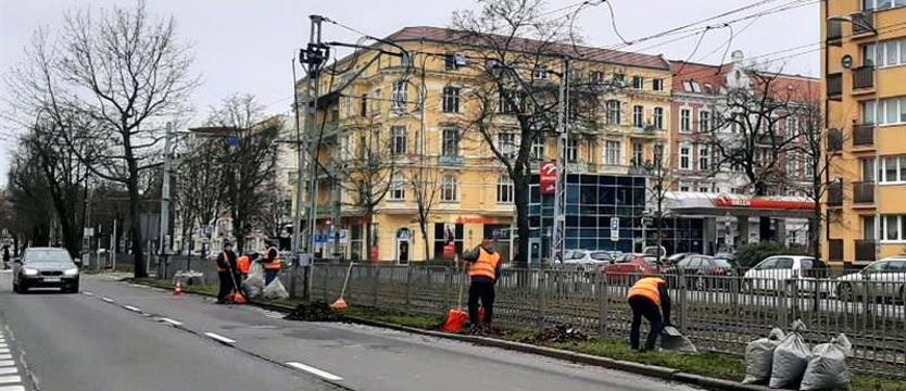 Sprzątają Szczecin