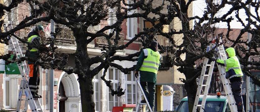 Przedwiosenne formowanie lip