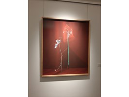 „Róże dla mamy” w galerii Poziom 4.