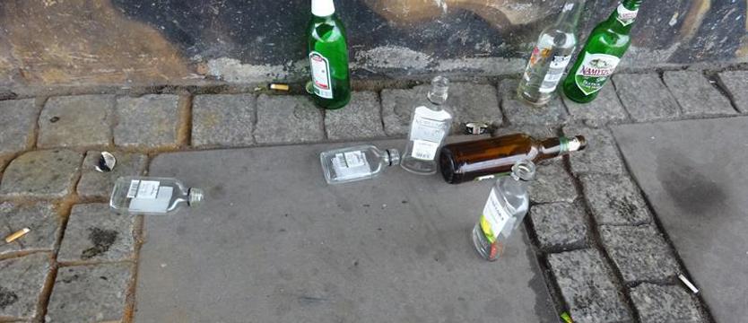 Małpki mają niebywałe wzięcie