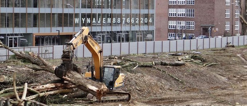 Reakcje na zniszczenie zielonej oazy przy ul. Janosika