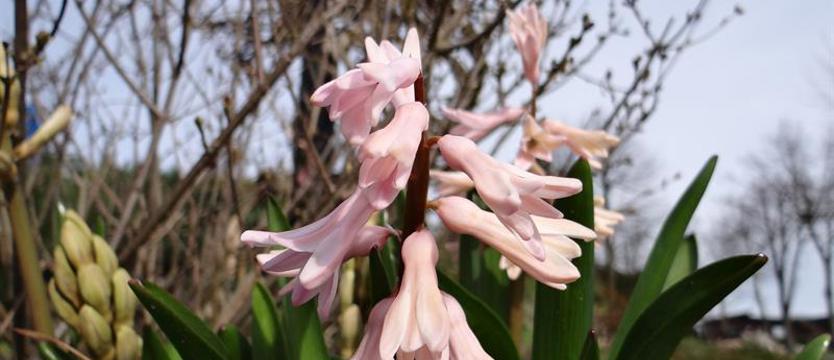 Kobietom (nie tylko) kobiety