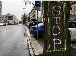 STOP niszczeniu zieleni w Szczecinie