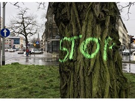 STOP niszczeniu zieleni w Szczecinie
