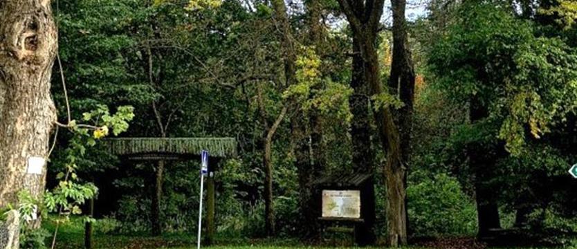 Zrewitalizują pałacowy park w Rusowie