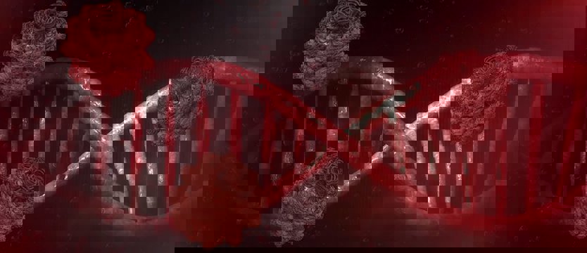 Ósma śmiertelna ofiara koronawirusa w Polsce