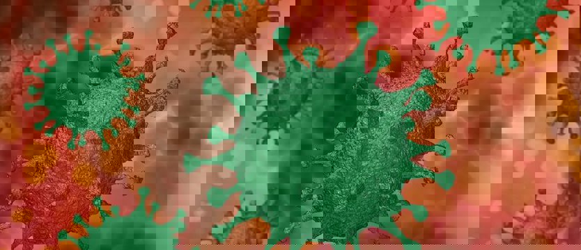 Kolejne pięć nowych przypadków koronawirusa w Szczecinie i Koszalinie