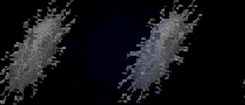 Zmarła dziesiąta osoba zakażona koronawirusem. W całym kraju już 901 przypadków