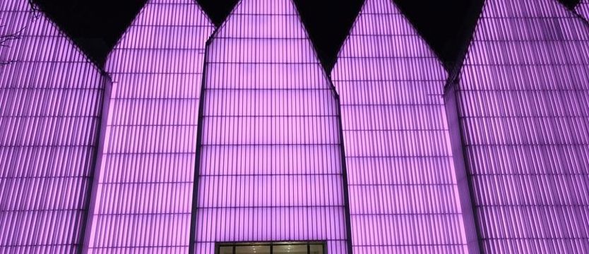 Międzynarodowy Dzień Epilepsji. Filharmonia w czwartek w kolorze purpury