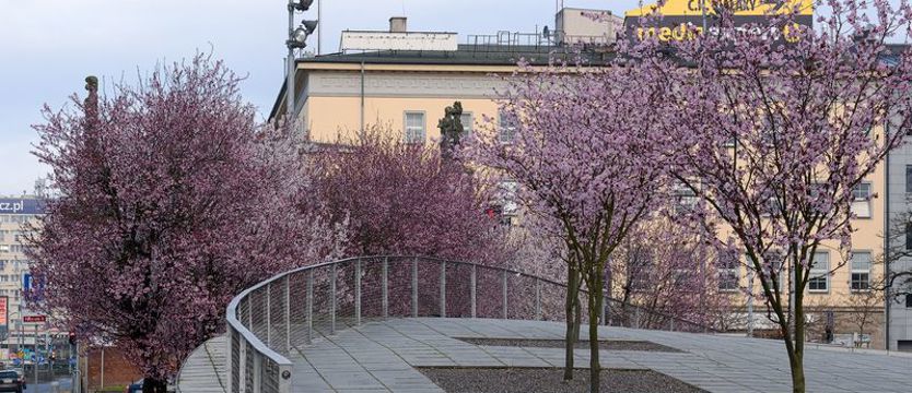 Zmiana czasu i koronawirus.  Jak się cieszyć z wiosny, siedząc w domu?
