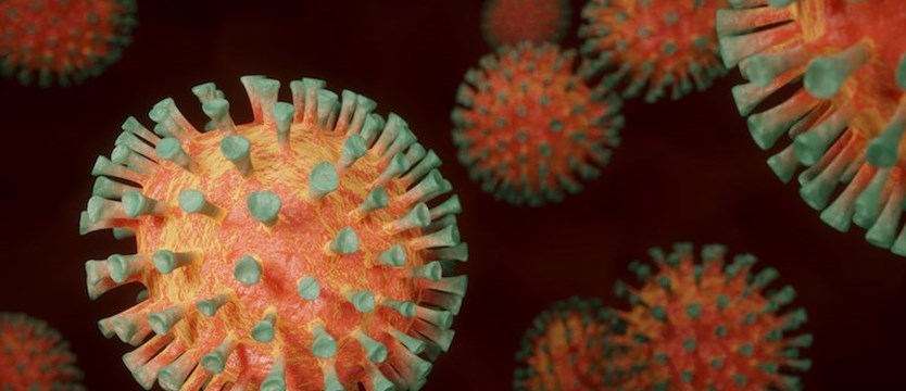 Zakażonych koronawirusem już 2055. W poniedziałek zmarło dziewięć osób