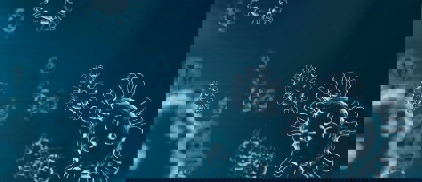 We wtorek 256 przypadków zakażenia