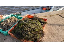 Rybacy wyławiają odpady. Bałtyckie widma