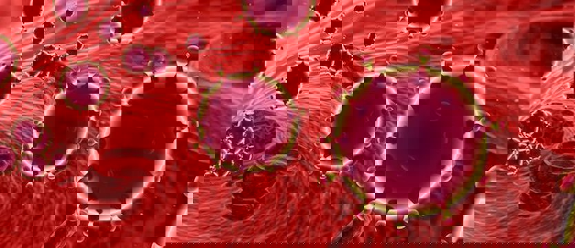 W Zachodniopomorskiem 4 nowe zakażenia. Jest ich już 110