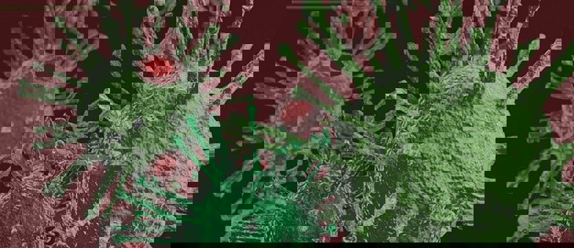 268 nowych przypadków zakażenia koronawirusem