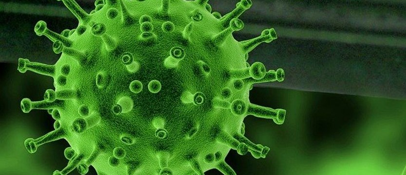 Trzy nowe przypadki koronawirusa w regionie. W sumie 214