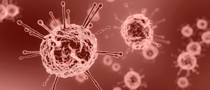 W kraju 296 nowych przypadków zakażenia koronawirusem. Cztery osoby zmarły