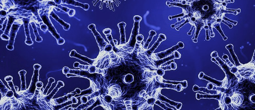 W Zachodniopomorskiem dwa nowe przypadki koronawirusa