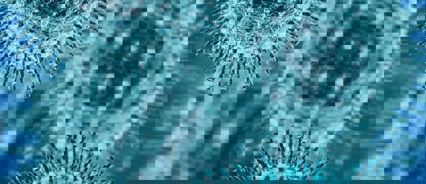 Kolejnych 11 przypadków koronawirusa w regionie. W sumie 277