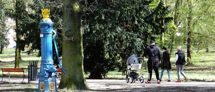 Parki, skwery i lasy w Szczecinie otwarte