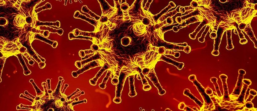 W kraju we wtorek 263 nowe przypadki zakażenia koronawirusem. Zmarło 21 osób