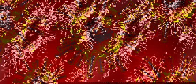 W kraju we wtorek 263 nowe przypadki zakażenia koronawirusem. Zmarło 21 osób