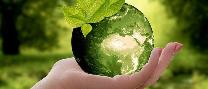 Dzień Ziemi – planeta w Twoich rękach!