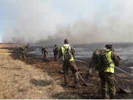 Żołnierze WOT pomagają gasić pożary w Biebrzańskim Parku Narodowym