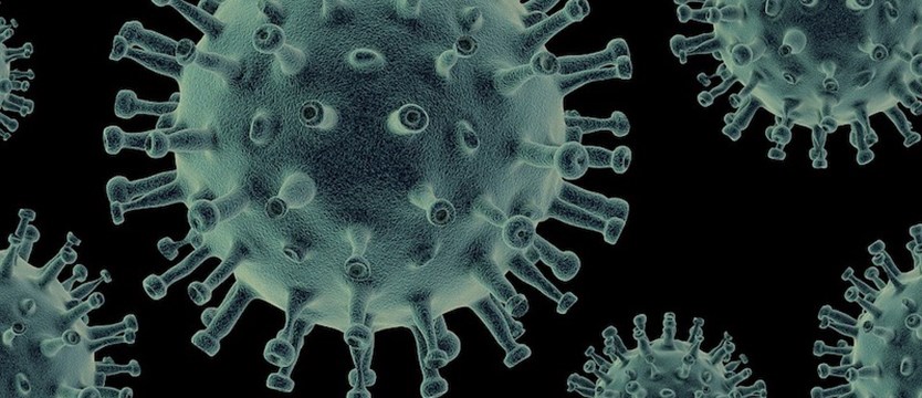 W kraju w piątek 248 nowych przypadków zakażenia koronawirusem. Zmarło 9 osób