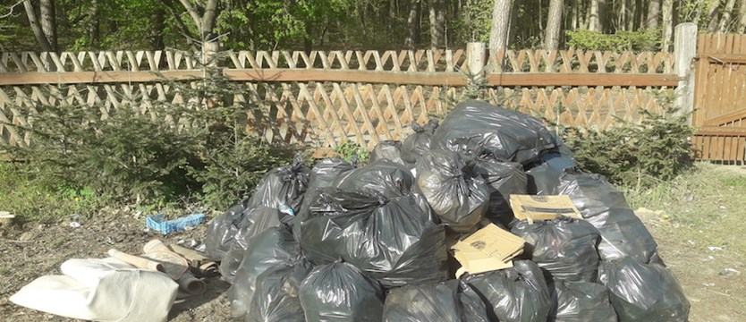 Śmieci znowu trafiają do szczecińskich lasów