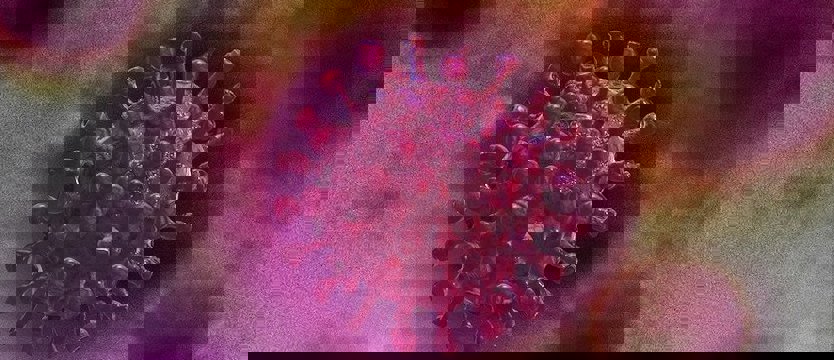 W regionie pięć nowych przypadków koronawirusa. Łącznie 401 zakażonych