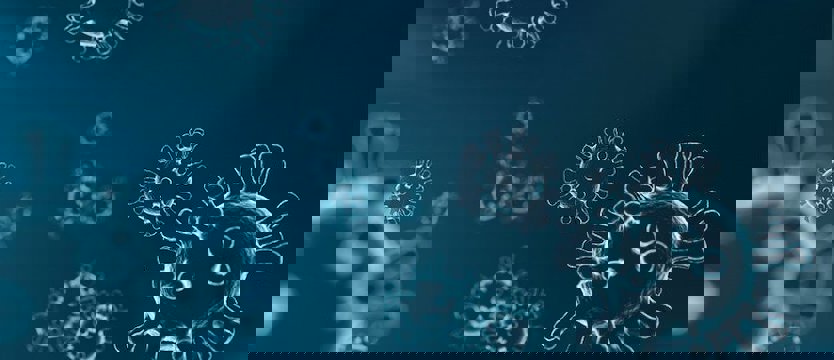 W poniedziałek w kraju 313 nowych przypadków zakażenia koronawirusem. Zmarło 20 osób