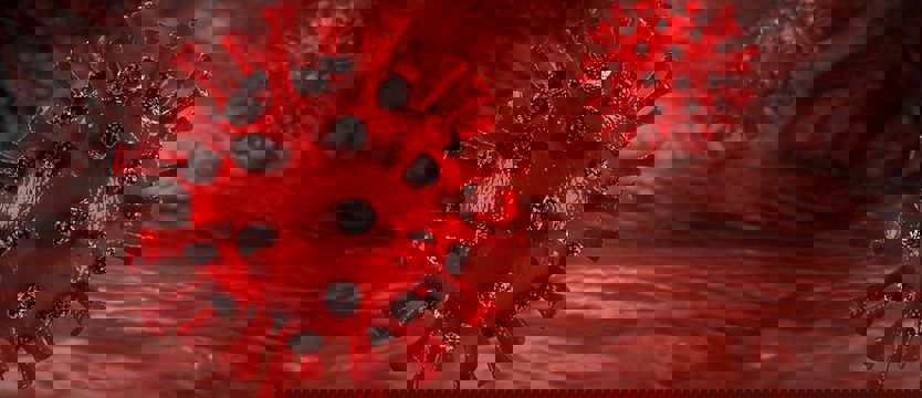 W kraju nowe zakażenia wirusem SARS-CoV-2. Zmarł 30-letni mężczyzna